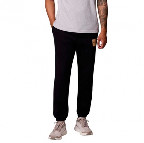 Брюки мужские Columbia Beaumount™ Jogger 